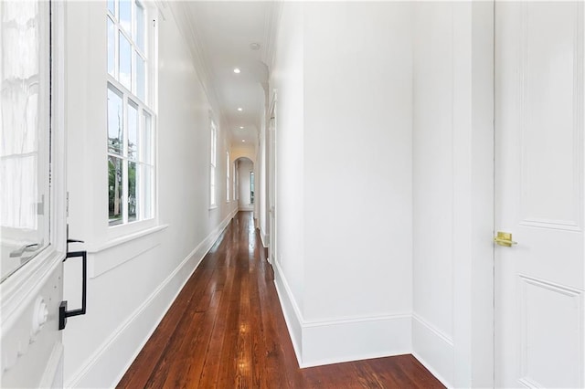 3700 Constance St, New Orleans, LA 70115 - photo 4