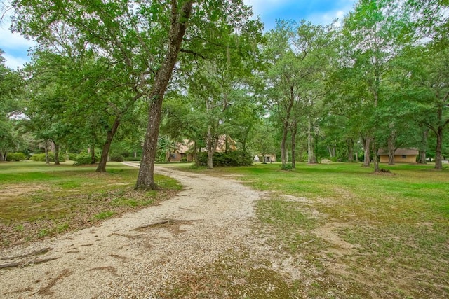 20300 Brunning Rd, Covington, LA 70435 - photo 3