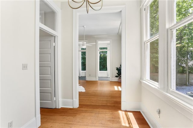 625 Pine St Unit 6, New Orleans, LA 70118 - photo 6