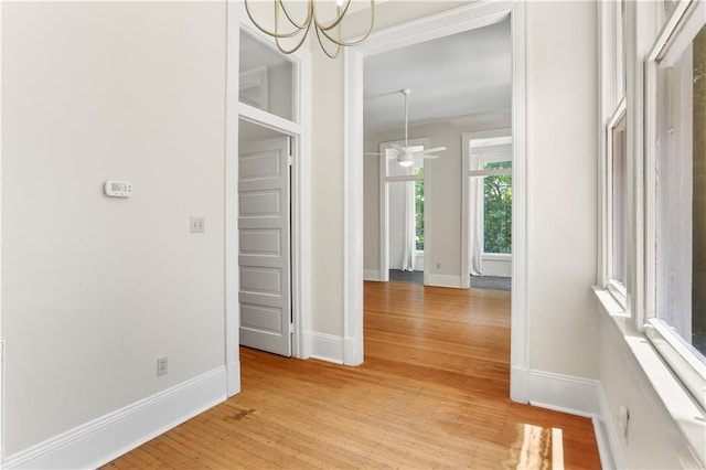 625 Pine St Unit 6, New Orleans, LA 70118 - photo 10