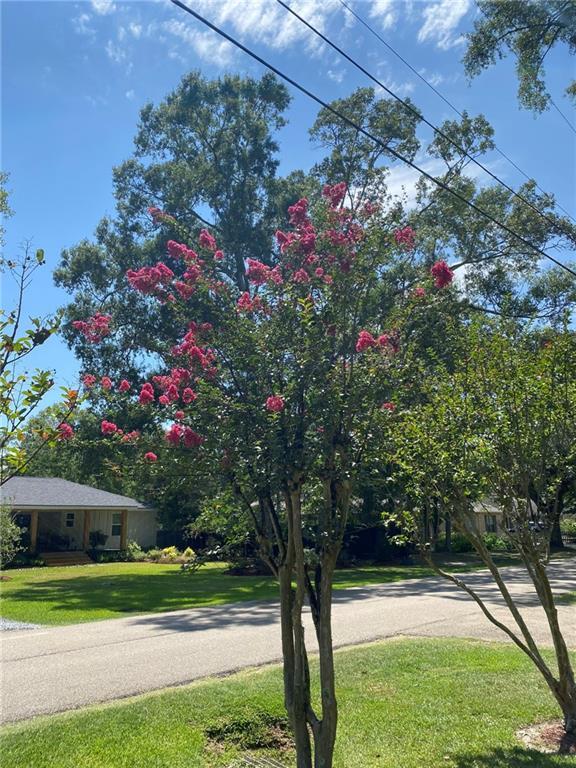 1901 Labarre St, Mandeville, LA 70448 - photo 26