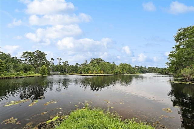 34652 W Dubuisson Rd, Slidell, LA 70460 - photo 29