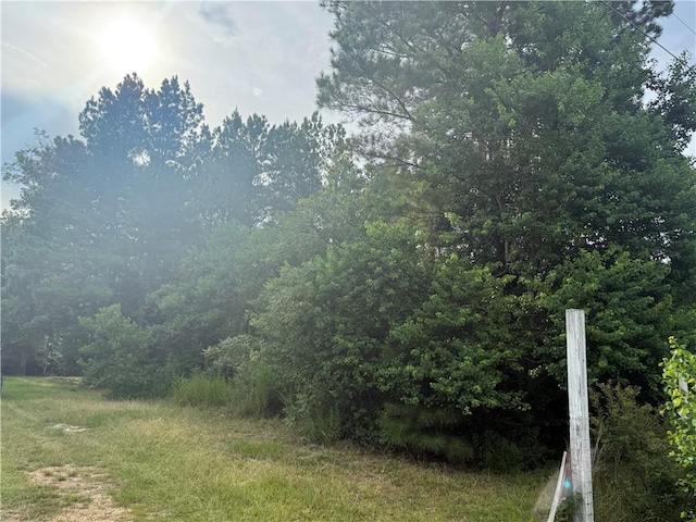 Ross Rd, Independence, LA 70443 - photo 3