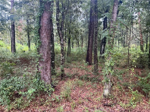 LOTS1A St Charles St, Abita Springs, LA 70420 - photo 3