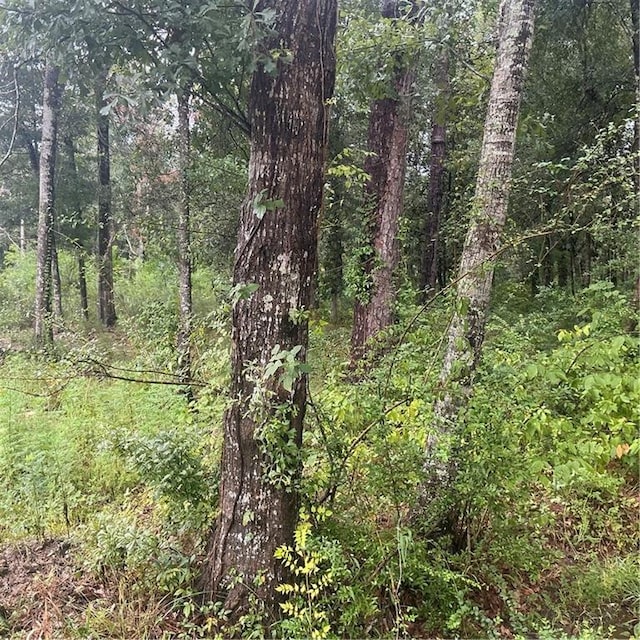 LOTS1A St Charles St, Abita Springs, LA 70420 - photo 4