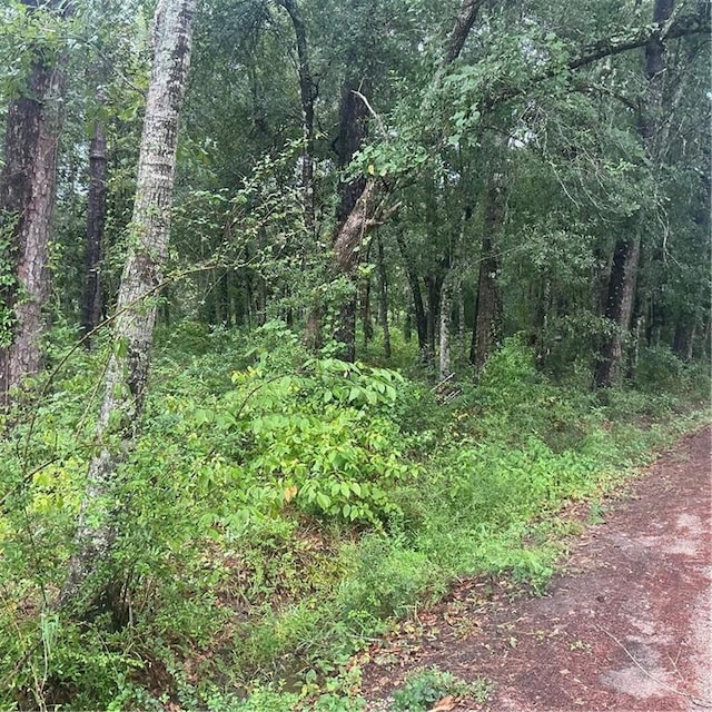 LOTS1A St Charles St, Abita Springs, LA 70420 - photo 6