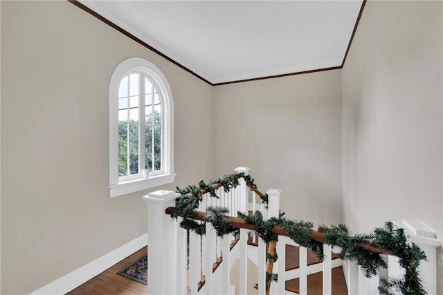 582558 Catina St, New Orleans, LA 70124 - photo 22