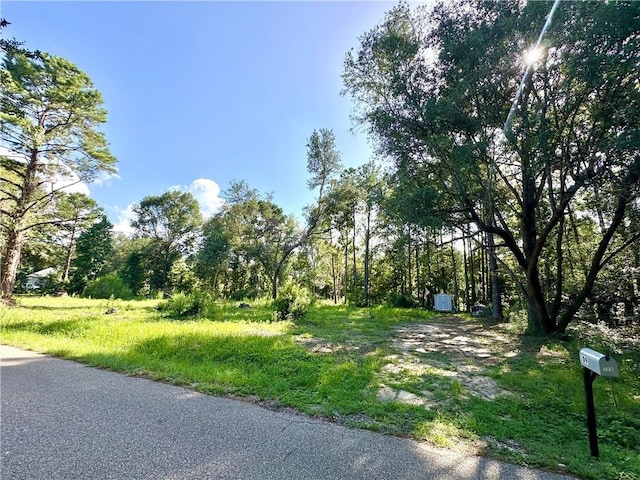 109 Stallion Run, Pearl River, LA 70452 - photo 1