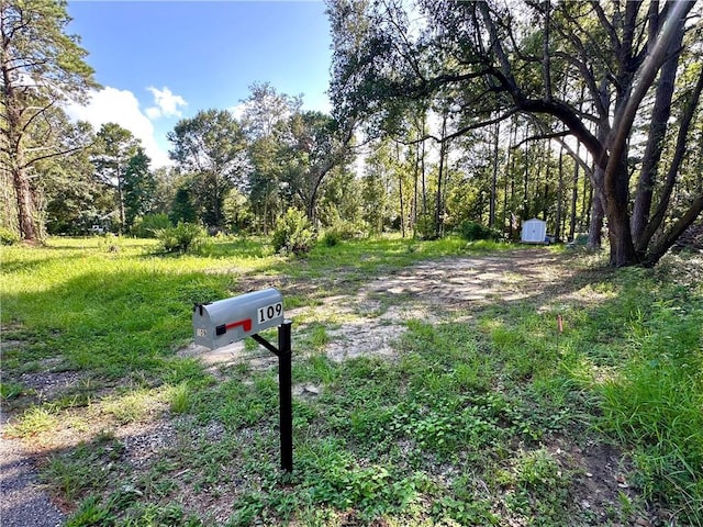 109 Stallion Run, Pearl River, LA 70452 - photo 2