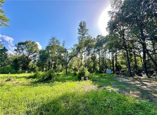 109 Stallion Run, Pearl River, LA 70452 - photo 4