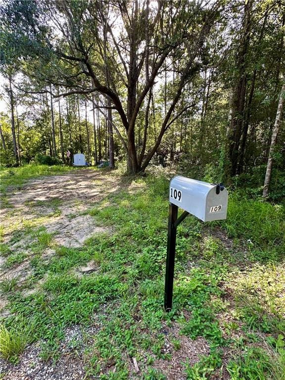 109 Stallion Run, Pearl River, LA 70452 - photo 5