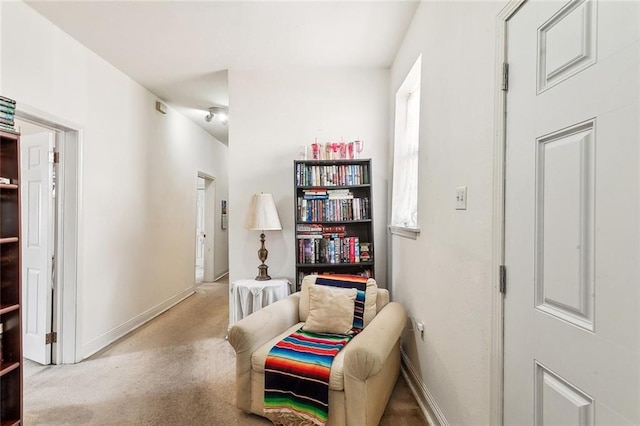 3031 Annunciation St, New Orleans, LA 70115 - photo 13