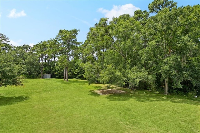 25595 W Birch St, Lacombe, LA 70445 - photo 21