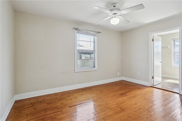 619 Carrollton Ave, Metairie, LA 70005 - photo 10