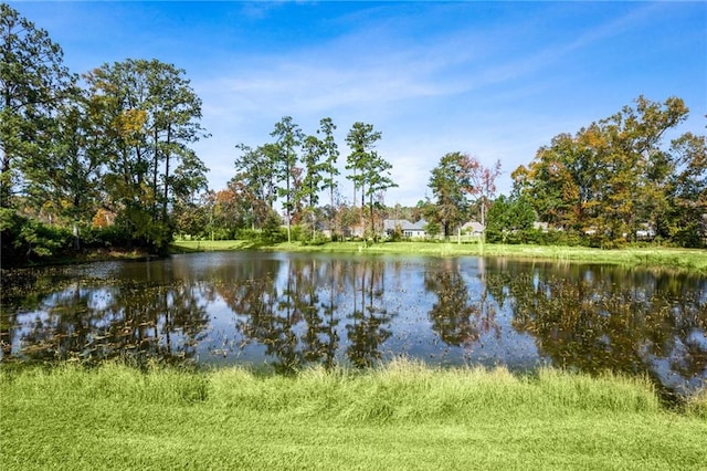 100 Aspen Creek Ct, Covington, LA 70433 - photo 33