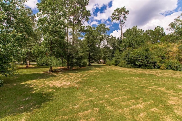 826 Mississippi Ave, Bogalusa, LA 70427 - photo 32