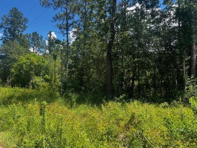 Pruden Rd, Covington, LA 70435 - photo 2