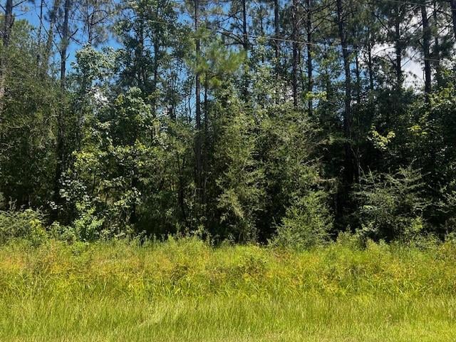 Pruden Rd, Covington, LA 70435 - photo 3