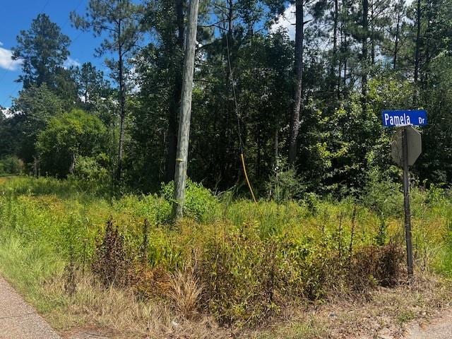 Pruden Rd, Covington, LA 70435 - photo 4