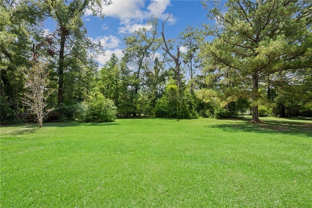 45156 Jenkins Rd 2 Rd, Franklinton, LA 70438 - photo 16