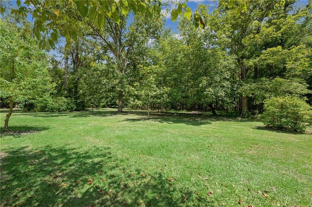 45156 Jenkins Rd 2 Rd, Franklinton, LA 70438 - photo 17