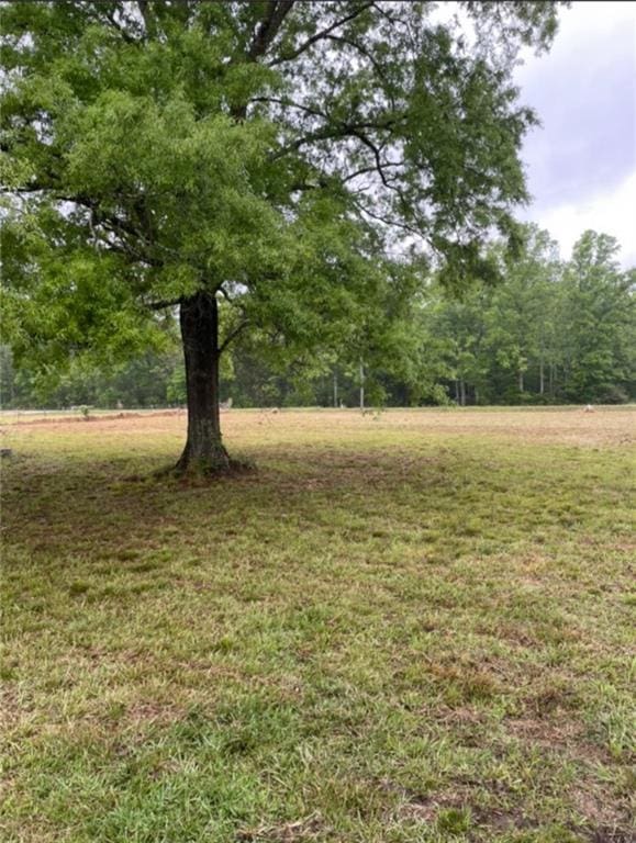 56520 1074th Hwy, Bogalusa, LA 70427 - photo 3