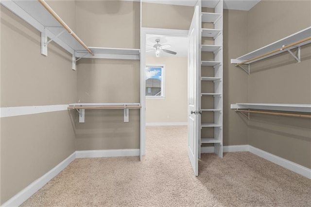 7101 Chatelain Dr, New Orleans, LA 70128 - photo 15