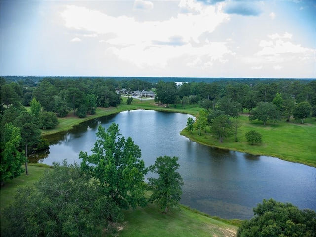 233 High St, Abita Springs, LA 70420 - photo 3