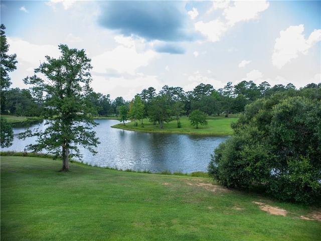 233 High St, Abita Springs, LA 70420 - photo 37
