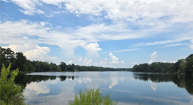 346 Lake David Dr, Picayune, MS 39466 - photo 2