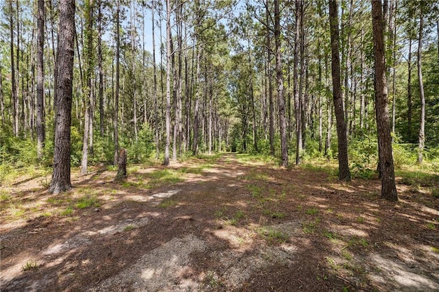 64450 J Catha Dr, Amite, LA 70422 - photo 30