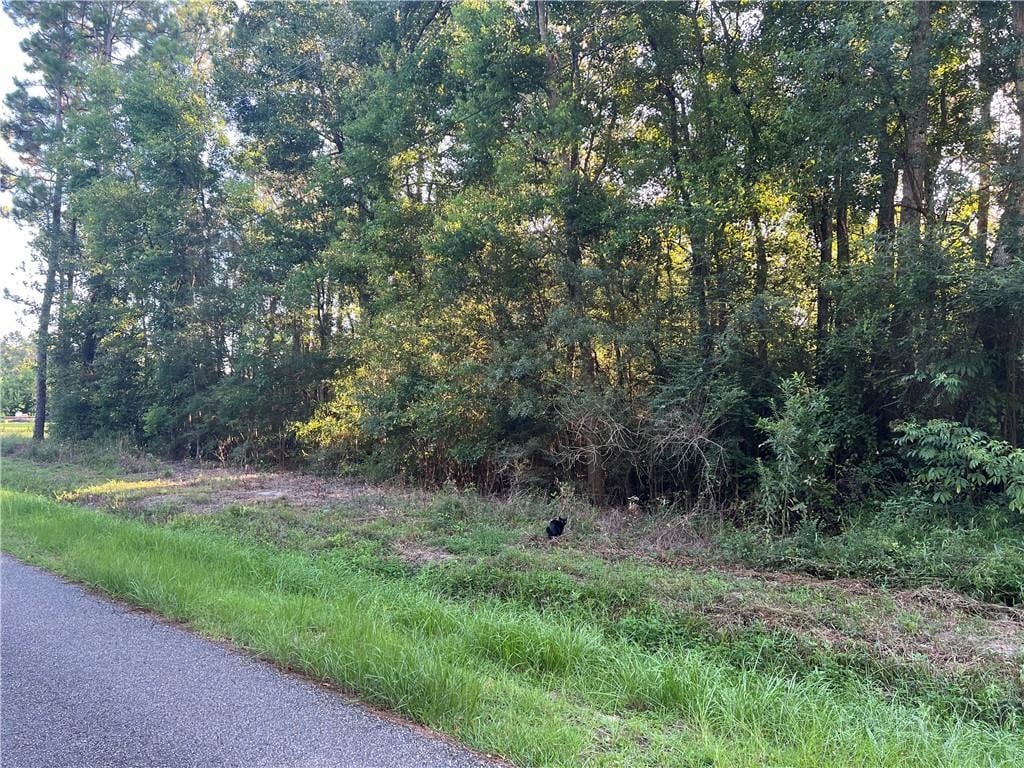 NHN Stone St, Bay St Louis, MS 39520 - photo 3
