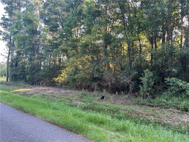 NHN Stone St, Bay St Louis, MS 39520 - photo 3