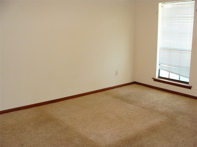 130 Carrollton Ave, Metairie, LA 70005 - photo 10