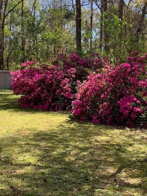 22128 5th St, Abita Springs, LA 70420 - photo 32