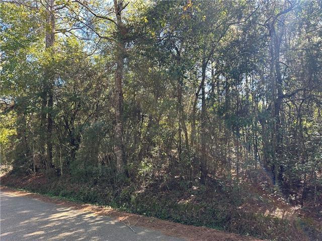0 Tantela Ranch Rd, Covington, LA 70435 - photo 3