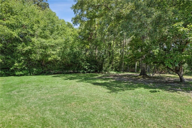 1807 12th Ave, Franklinton, LA 70438 - photo 18