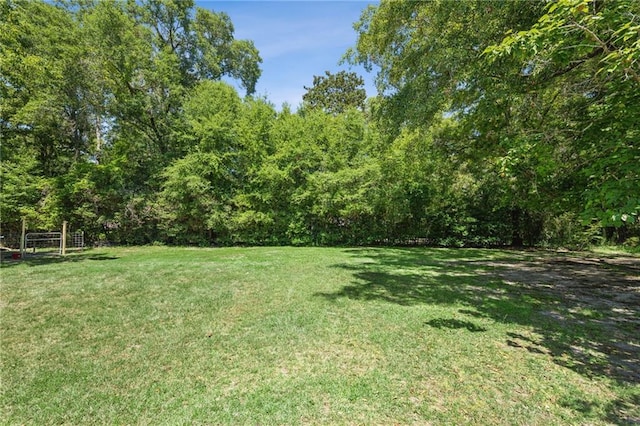 1807 12th Ave, Franklinton, LA 70438 - photo 20