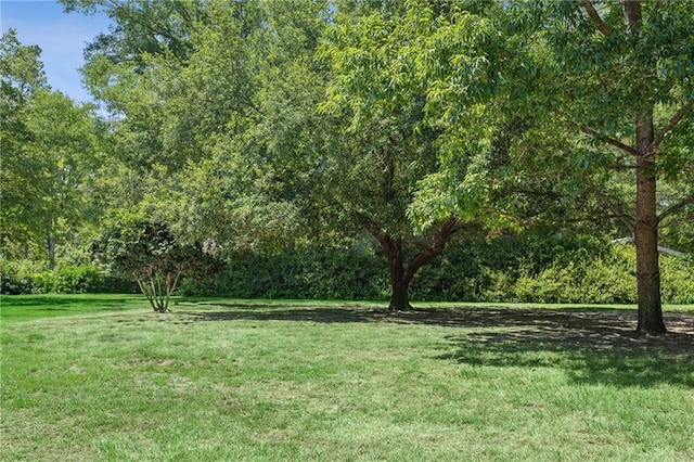 1807 12th Ave, Franklinton, LA 70438 - photo 22
