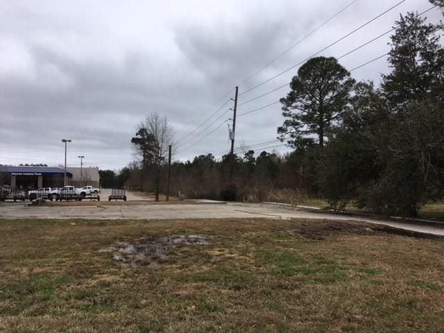 Recile Ln, Hammond LA, 70403 land for sale