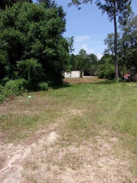 1695 N Collins Blvd, Covington LA, 70433 land for sale