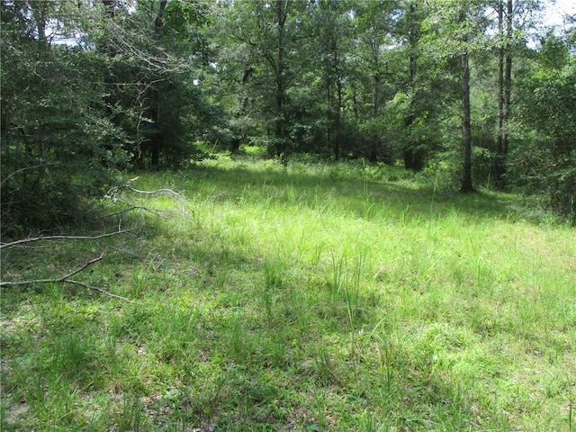 Listing photo 2 for 0 Park Pl, Mccomb MS 39648