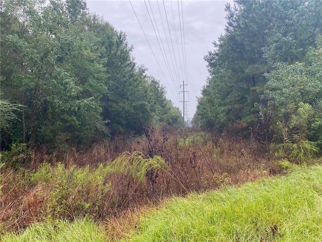 Listing photo 2 for 1.8ACRES Bruce St, Franklinton LA 70438