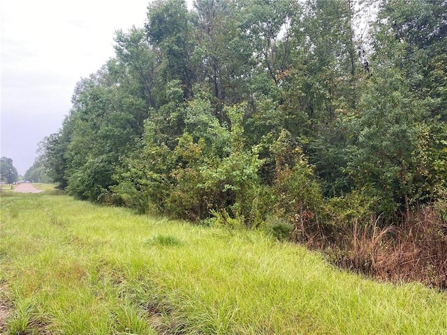 Listing photo 3 for 1.8ACRES Bruce St, Franklinton LA 70438