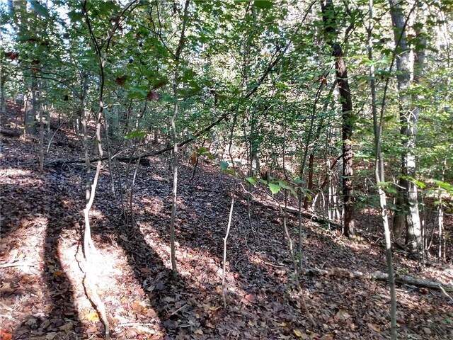 1799 Mohawk Ln, Westminster, SC 29693 - photo 5