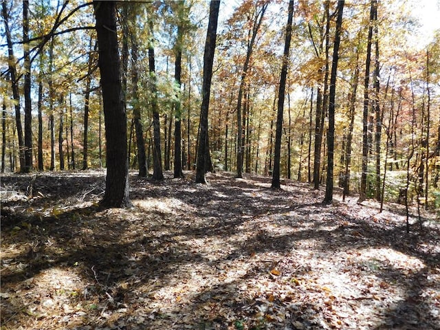 310 Sunset Rdg, Way, Salem, SC 29676 - photo 2