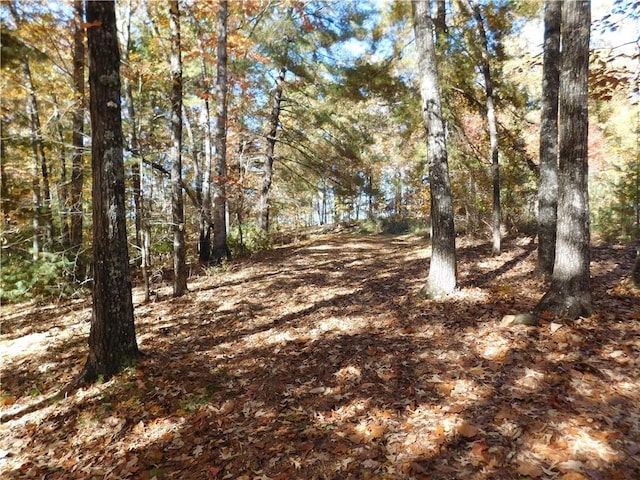 310 Sunset Rdg, Way, Salem, SC 29676 - photo 10