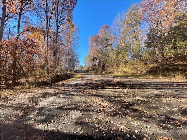 LOT09 Hidden Acres Dr, Seneca, SC 29678 - photo 2