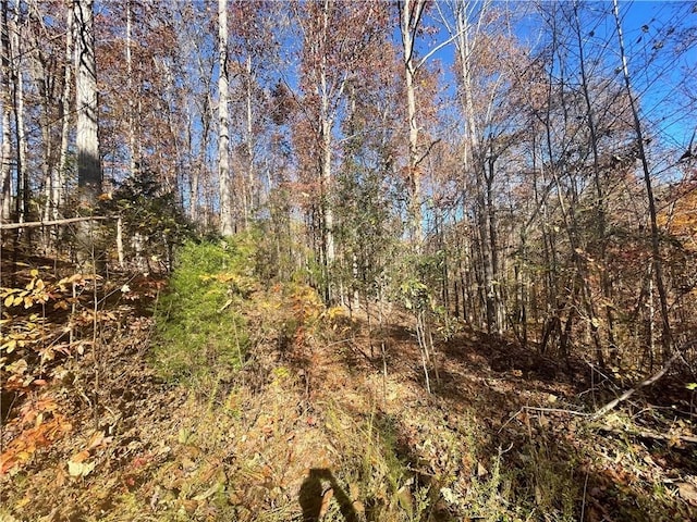 Listing photo 3 for LOT09 Hidden Acres Dr, Seneca SC 29678