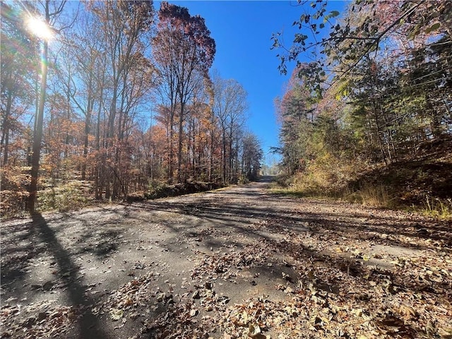 LOT09 Hidden Acres Dr, Seneca, SC 29678 - photo 4